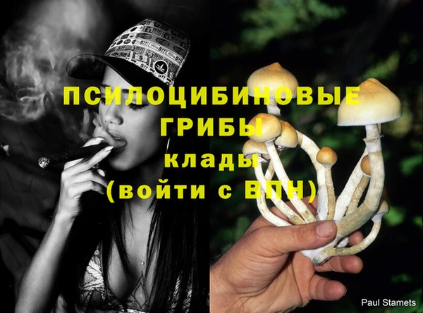 гашиш Богородск