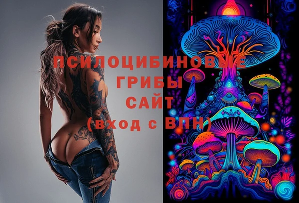 экстази Богородицк